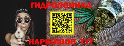 крисы Мариинск