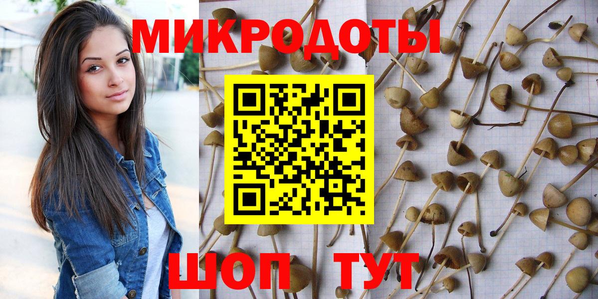 Псилоцибиновые грибы Psilocybe  Псилоцибиновые грибы Magic Shrooms  Вход с VPN  Камень-на-Оби 